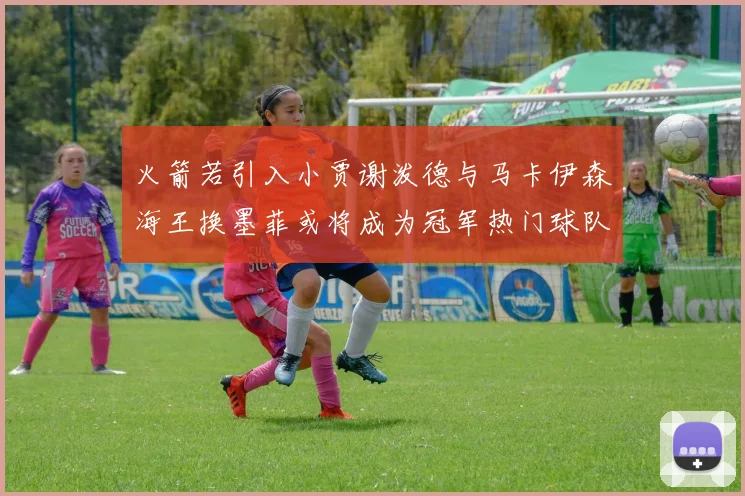 火箭若引入小贾谢泼德与马卡伊森海王换墨菲或将成为冠军热门球队