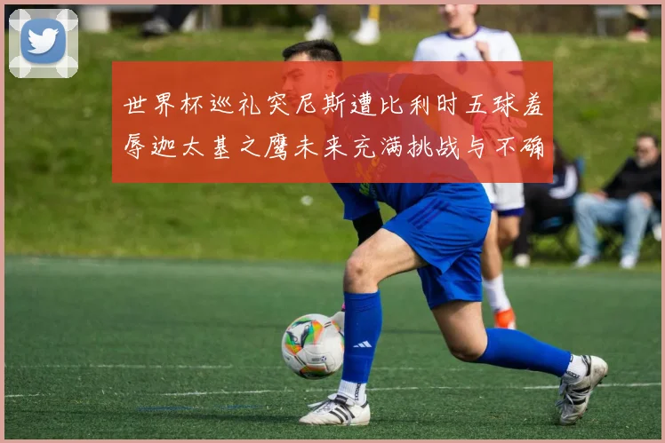 世界杯巡礼突尼斯遭比利时五球羞辱迦太基之鹰未来充满挑战与不确定性
